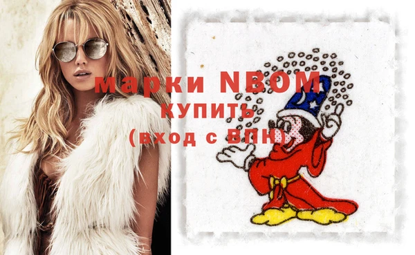 молекула духа Бородино