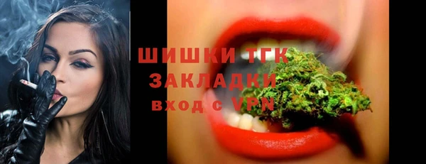 молекула духа Бородино