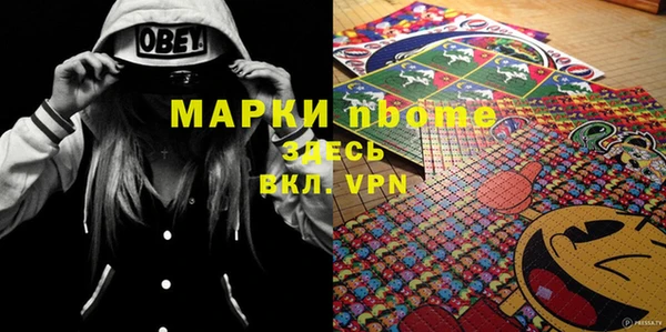 молекула духа Бородино