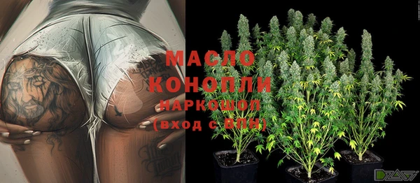 молекула духа Бородино
