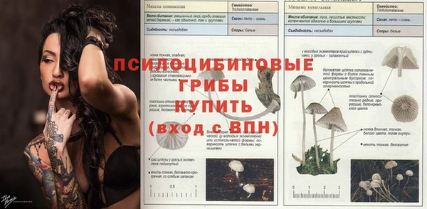 мдпв Бронницы