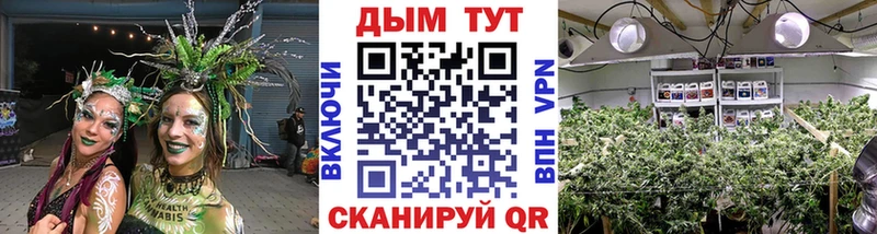 Конопля Amnesia  Кемь 